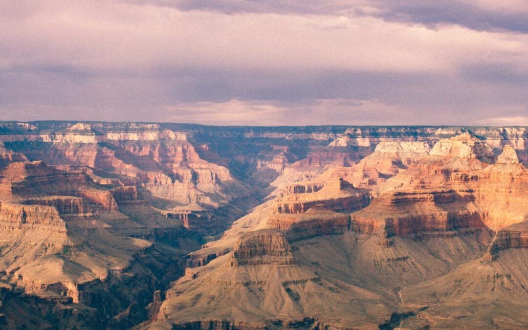 ARIZONA LODGING & TOURISM ASSOCIATION AND ​CLASS ACTION CAPITAL PARTNERSHIP PORTAL